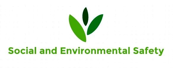 Логотип общественной организации "Социальная и экологическая безопасность"